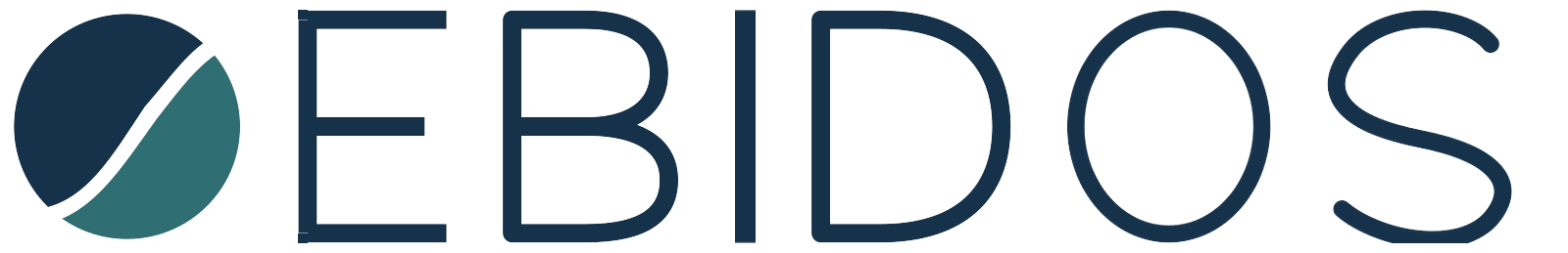 EBIDOS – Transformation, Interim Management, KI
